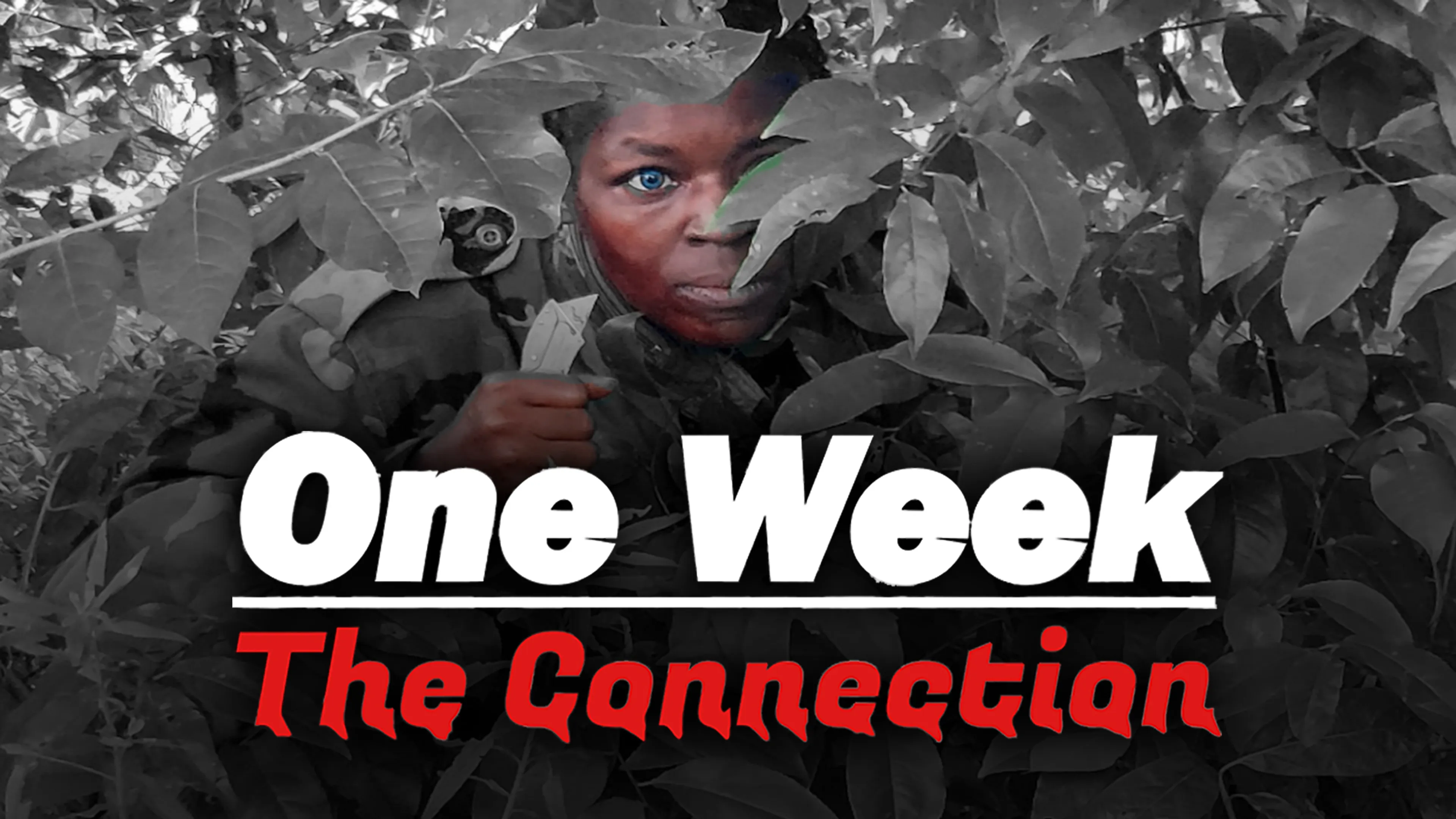 One Week the Connection poster